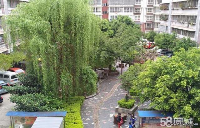 【同城地产】沃尔玛附近 标准2室没毛病 采光视野好